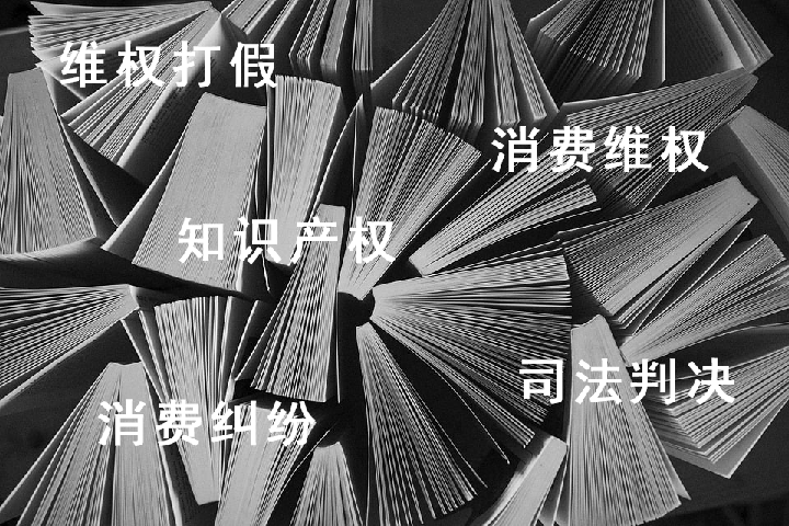 世界知识产权组织首次在广东地区举办知识产权暑期学校